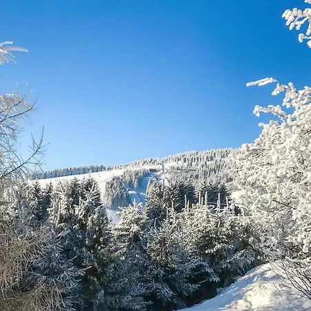 Διαμέρισμα Ferienwohnung Oberwiesenthal